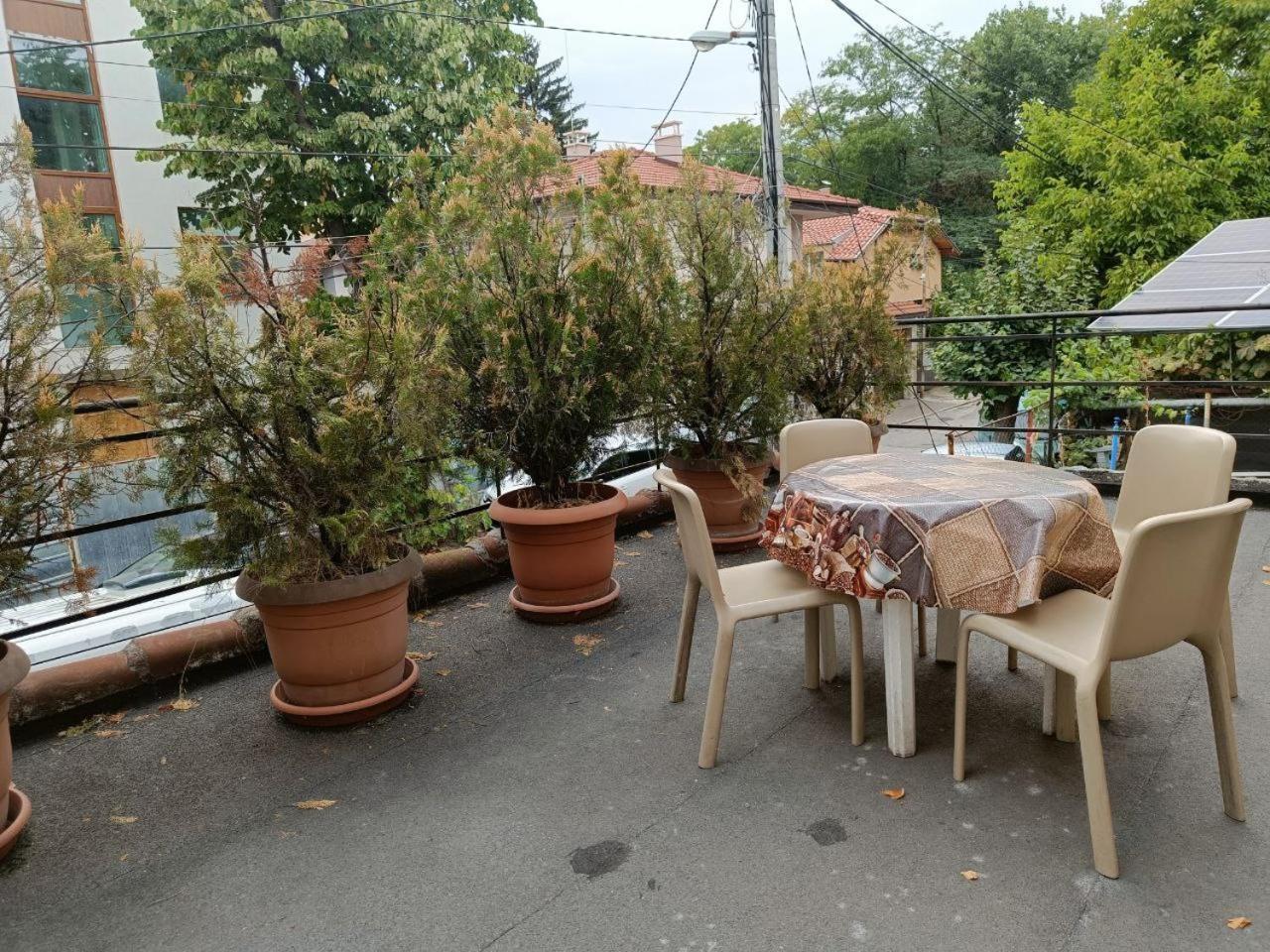 10 Coins Hostel & Tours София Экстерьер фото